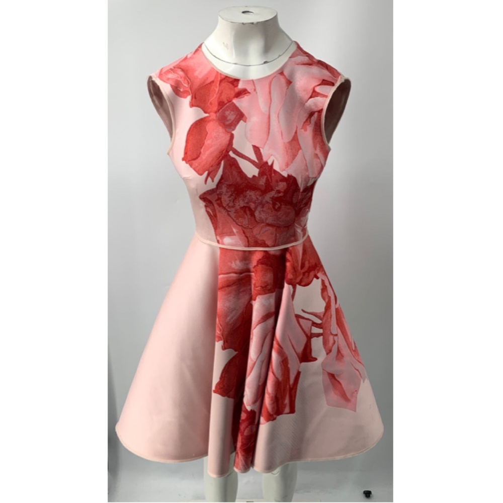 Giambattista Valli Pink Red Floral Print A-Line Dress sz XS/40